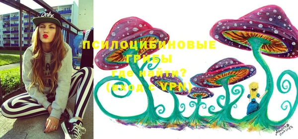 мдма Бородино