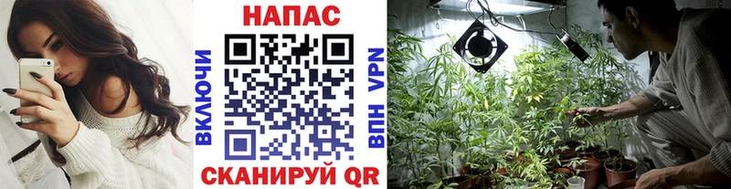 Каннабис Amnesia  Купить  Сельцо 